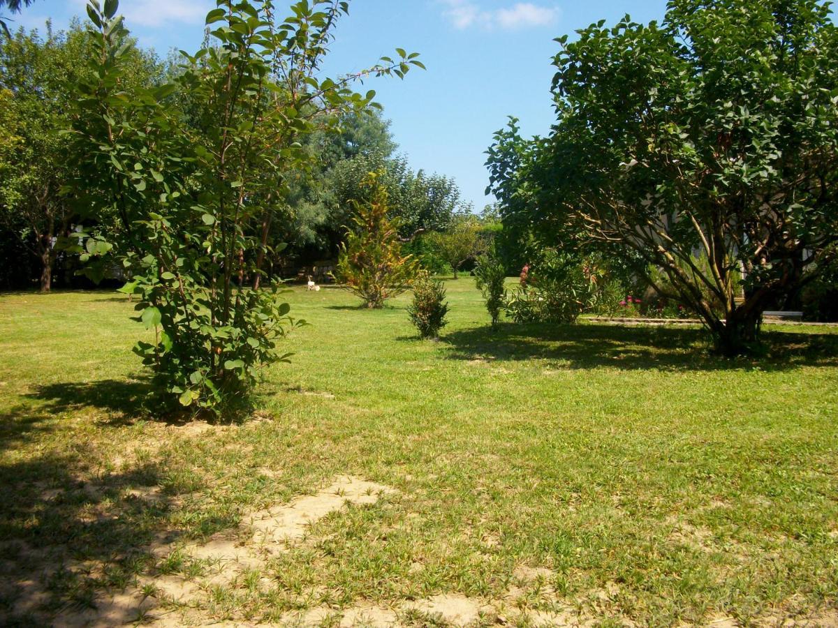 Domaine De Monein Bed and Breakfast Saint-André-de-Cubzac Eksteriør billede